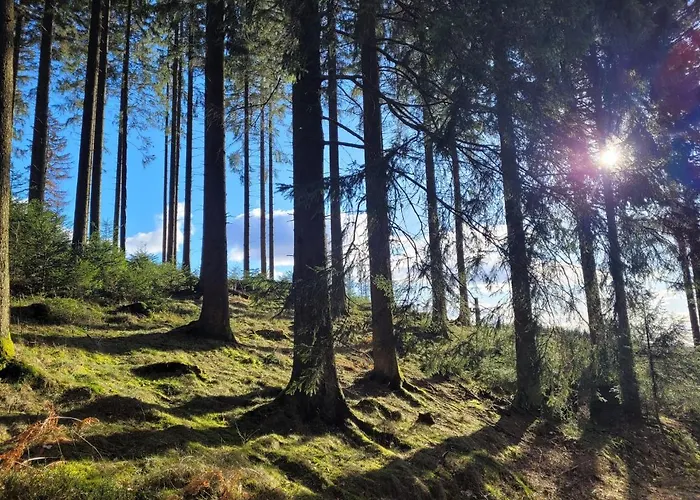 Hubis Olpe bei Meschede