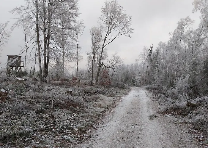 Hubis Olpe bei Meschede
